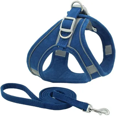 Image de Harnais pour chien, laisse avec poignée, réglable, réfléchissant, taille XL, bleu