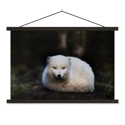 Produktbild von MuchoWow® Textilposter Fuchs - Porträt - Weiß 90x60 cm mit schwarzem Rahmen - Aufhängungssatz