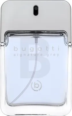 Obrázok produktu pre Bugatti Signature Grey toaletná voda pre mužov 100 ml