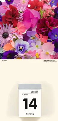 Immagine prodotto di ZETTLER 609774 Calendario retro copertina a fiori - 14,5 x 29,5 cm, assortito in 2 colori