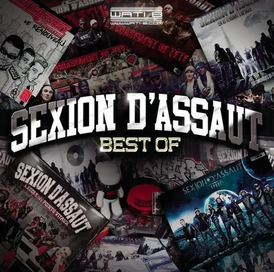 Zdjęcie produktu dla Sexion D'Assaut-Best of