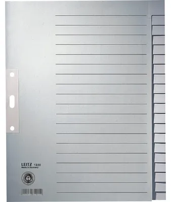 Produktbild von Leitz Register Blanko, Papier, Leerer Registerindex, Papier, Grau, 100 g/m², 240 mm, 300 mm