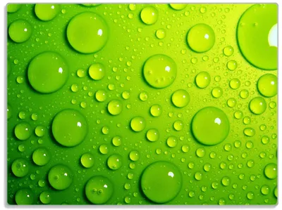 A close-up view of water droplets on a green surface.