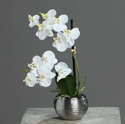 Produktbild von künstliche Orchidee, Phalaenopsis in rundem silbernen Topf H. 30cm weiß DPI