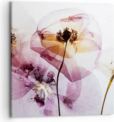 Produktbild von Bild auf Leinwand - Leinwandbild - blume sommer natur - 70x70cm - Wand Bild - Wanddeko - Wandbilder - Leinwanddruck - Bilder - Kunstdruck - Wanddekoration - Leinwand bilder - Wandkunst - AC70x70-3821