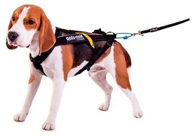 Produktbild von FREEMOTION Zuggeschirr Brustgeschirr schwarz für Hunde Größe 4
