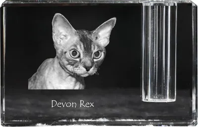 Obrázek produktu pro Art-Dog Stojánek na pera – Devonský rex