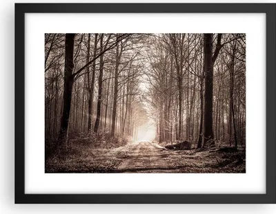 Produktbild von Gerahmtes Poster - Schwarzer Rahmen - Wald Straße Baum - 40x30 cm - Wand Bild - Wanddeko - Wandbilder - Kunstposter - Wandposter - Bilderrahmen - Bilder - Kunstdruck - Wandbild - P2BAA40x30-3620