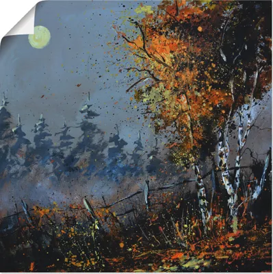 Produktbild von ARTland Poster Im Wald Größe: 70x70 cm