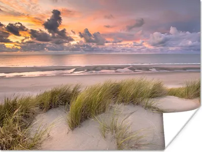 Produktbild von MuchoWow® Poster Sonnenuntergang - Düne - Strand - Pflanzen - Meer 120x90 cm - Wandbild