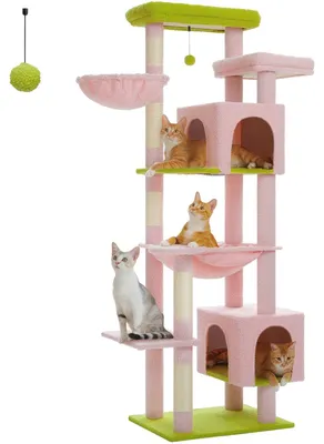 Image de Arbre à chat - Griffoir - Mur d'escalade pour chats - Griffoirs en sisal - Arbre à chat - Hamac - Maison pour chat