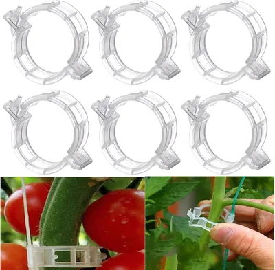 Produktbild von Famanu Pflanzenring Set - 300 Kunststoff Pflanzenclips für Kletterpflanzen - Ø 2,5 cm - grün
