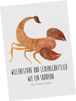Produktbild von Mr. & Mrs. Panda Ansichtskarte Sternzeichen Skorpion - Weiß - Geschenk, Ansichtskarten, Postkarten, Geburtstag Oktober, Kunstkarten, Skorpione, Grußkarte, November