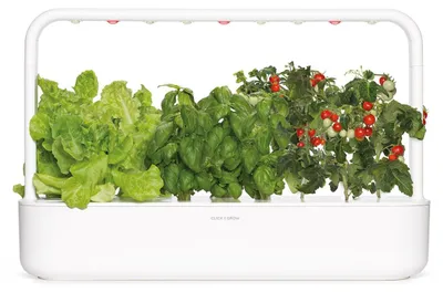 Obrázek produktu pro Click & Grow Smart Garden 9, LED, 9 lamp