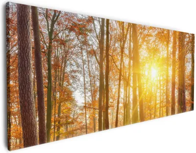 Produktbild von Wallario Premium Leinwandbild Sonnenuntergang im herbstlichen Wald in Größe 50 x 125 cm