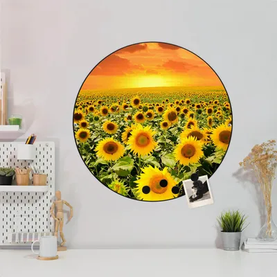 Produktbild von Design Stahlmagnettafel Schwarz Rund 47cm Sonnenblumenmeer