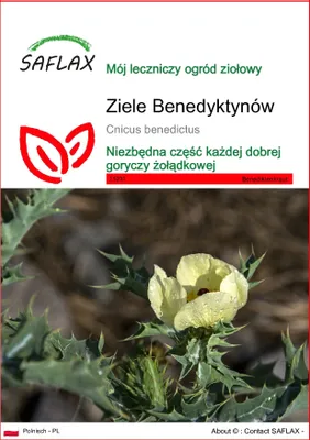 Zdjęcie produktu dla SAFLAX - Ziele Benedyktynów - 50 Nasiona - Cnicus benedictus