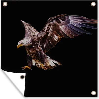 Produktbild von MuchoWow® 100x100 cm Outdoor-Poster Gartendeko Sichtschutz Garten Poster für den Garten  Adler - Vogel - Federn