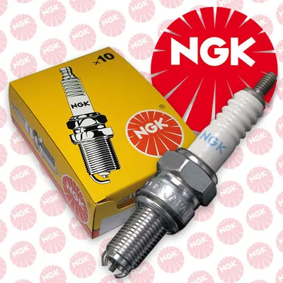 A product shot of NGK spark plugs and their packaging, set against a patterned background.