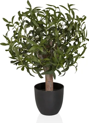 Produktbild von hjh OFFICE Kunstpflanze Olive S Künstliche Pflanze im Topf Olive Höhe 70.0 cm Deko