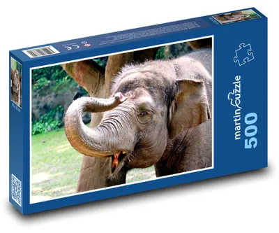 Zdjęcie produktu dla martinpuzzle - Puzzle 500 - Słoń - savec