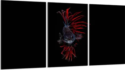 Produktbild von Glasschutzplatte für Herd 3x30x52