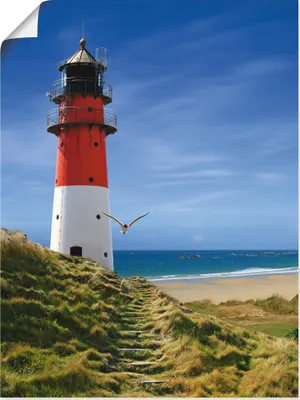 Produktbild von ARTland Poster Leuchtturm am Deich Größe: 45x60 cm