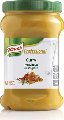 Image de Knorr Professional pâte d'épices curry doux goût naturel 750g