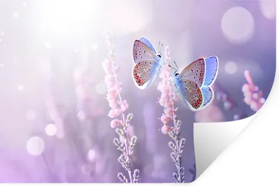 Produktbild von MuchoWow® Wandtattoo Wandsticker Wandaufkleber Schmetterling - Lavendel - Blumen - Lila 60x40 cm Selbstklebend und Repositionierbar - Wierderverwendbar - Selbstklebend