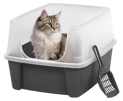 Immagine prodotto di Il gatto ha una lettiera grigia