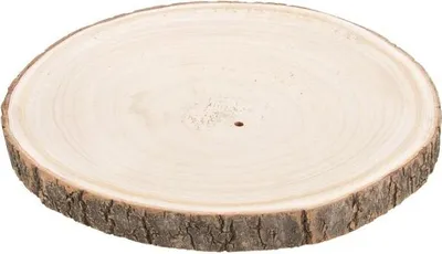 Produktbild von Paulownia-Holzscheibe in vielen Größen zur Auswahl, Größe:ca. 13x13 cm