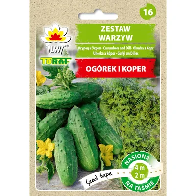 Image de Set de légumes - concombre et aneth (ruban de 6m) Toraf