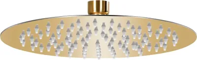 Produktbild von Regenbrause Edelstahl 20 cm Rund Golden