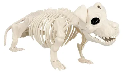 Zdjęcie produktu dla Dekoracja na Halloween: Szkielet psa (52 cm)