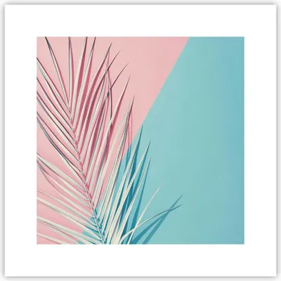 Produktbild von Poster - Poster ohne Rahmen - Blatt Rosa Türkis - 30x30 cm - Wand Bild - Wanddeko - Wandbilder - Kunstposter - Wandposter - Bilder - Kunstdruck - Wanddekoration - Wandbild - P2XAC30x30-4421