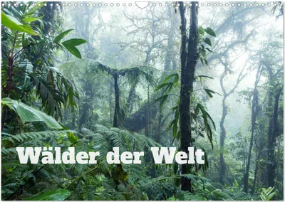 Produktbild von Wälder der Welt (Wandkalender 2025 DIN A3 quer), CALVENDO Monatskalender