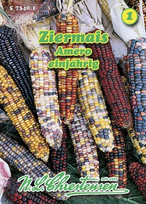 Produktbild von Ziermais Amero | Maissamen von N.L. Chrestensen