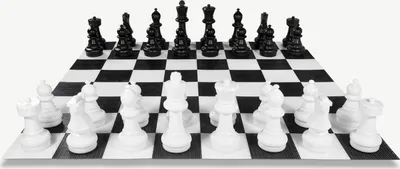 Image de XL Grand jeu d'échecs - 64 cm - plus 4 sacs de transport