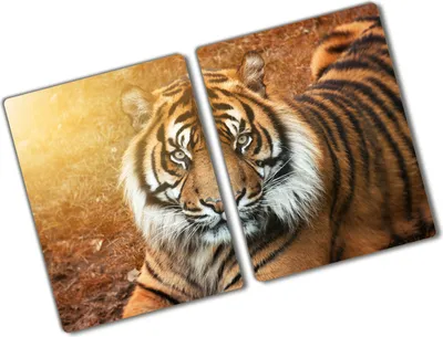 Produktbild von Tulup Glas Herdabdeckplatte - 2x40x52 cm - Glaskeramikkochfeld-Abdeckung Spritzschutz Glasabdeckplatte Kochplattenabdeckung und Schneidebrett - Zweiteilig - Tiere - Bengalischer Tiger - Braun