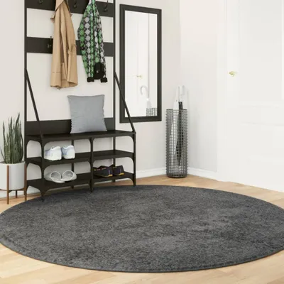 Produktbild von CLORIS Teppich OVIEDO Kurzflor Anthrazit Ø 200 cm 375481