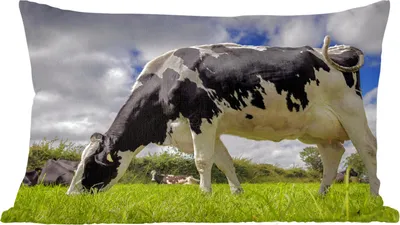 Produktbild von MuchoWow® Zierkissen Sofakissen Wohnzimmer Dekokissen 50x30 cm Kuh - Gras - Schwanz - Tiere - Wohnzimmerdekoration - Polster mit Photo