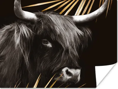 Produktbild von MuchoWow® Poster Schottischer Highlander - Blätter - Gold 120x90 cm - Wandbild