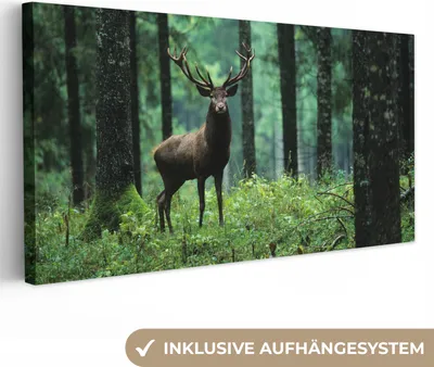 Produktbild von MuchoWow® - Leinwandbilder - Hirsche - Wald - Bäume - Tiere - Natur, Wandbild, Wanddeko Bilder Wohnzimmer, 40x20 cm
