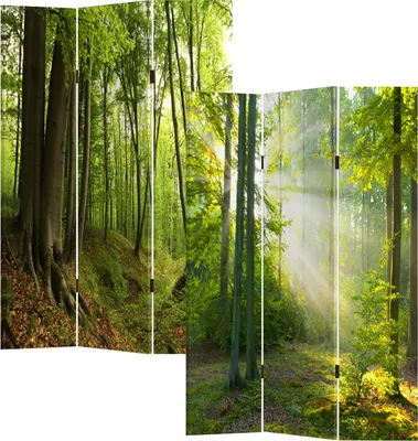 Produktbild von Paravent Waldweg aus Tannenholz und Leinwand 170 x 120 cm beidseitig bedruckt
