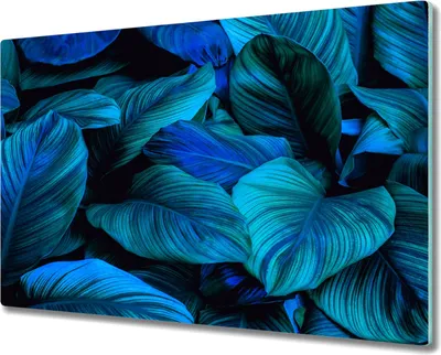 Produktbild von Coloray Küchenbrett Kochplattenabdeckung Hackbrett Schneidebrett Herdabdeckplatte 80x52 cm - Blume Pflanze