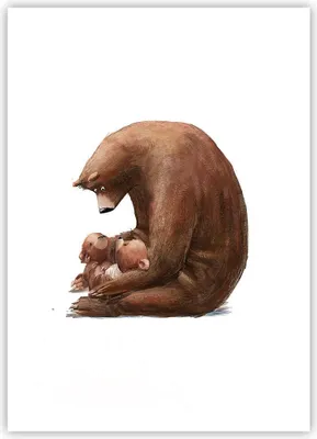 Produktbild von Poster - Poster ohne Rahmen - Bär Teddybären Kinder - 50x70 cm - Wand Bild - Wanddeko - Wandbilder - Kunstposter - Wandposter - Bilder - Kunstdruck - Wanddekoration - Wandbild - P2XPA50x70-4732