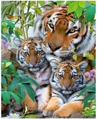 Produktbild von 50x40 cm Malen nach zahlen Set mit Holzrahmen Tiger im Busch