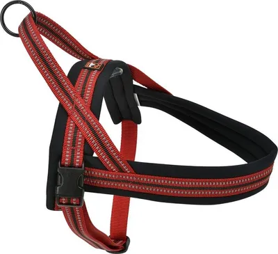 A dog harness is shown against a white background.
