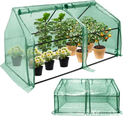 A small greenhouse with plants inside, shown from the front.
