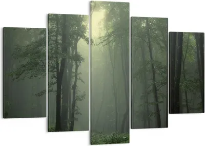 Produktbild von Bild auf Leinwand - Leinwandbild - Wald Nebel Baum - 150x100cm - Wand Bild - Wanddeko - Wandbilder - Leinwanddruck - Bilder - Kunstdruck - Wanddekoration - Leinwand bilder - Wandkunst - EA150x100-3543